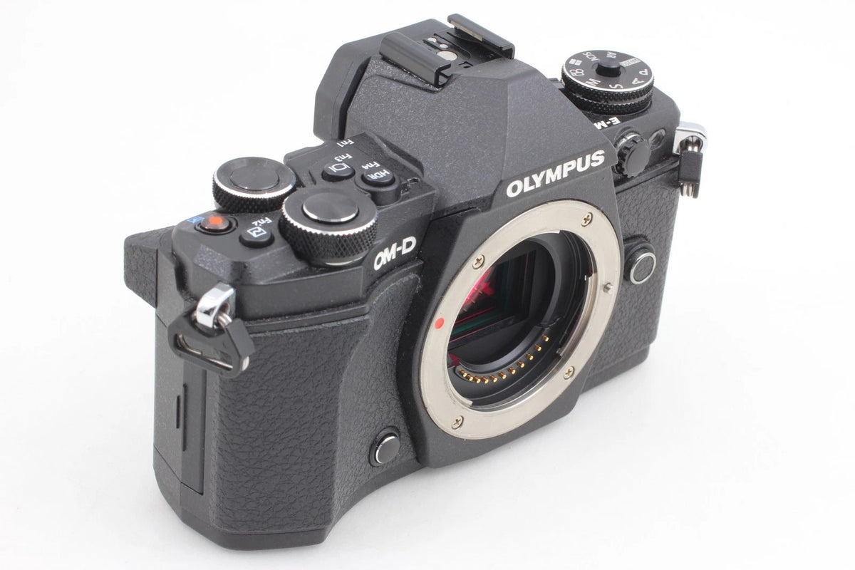 Olympus OM-D E-M5 Mark II & 14-150mm II AF Zoom Lens — Mint